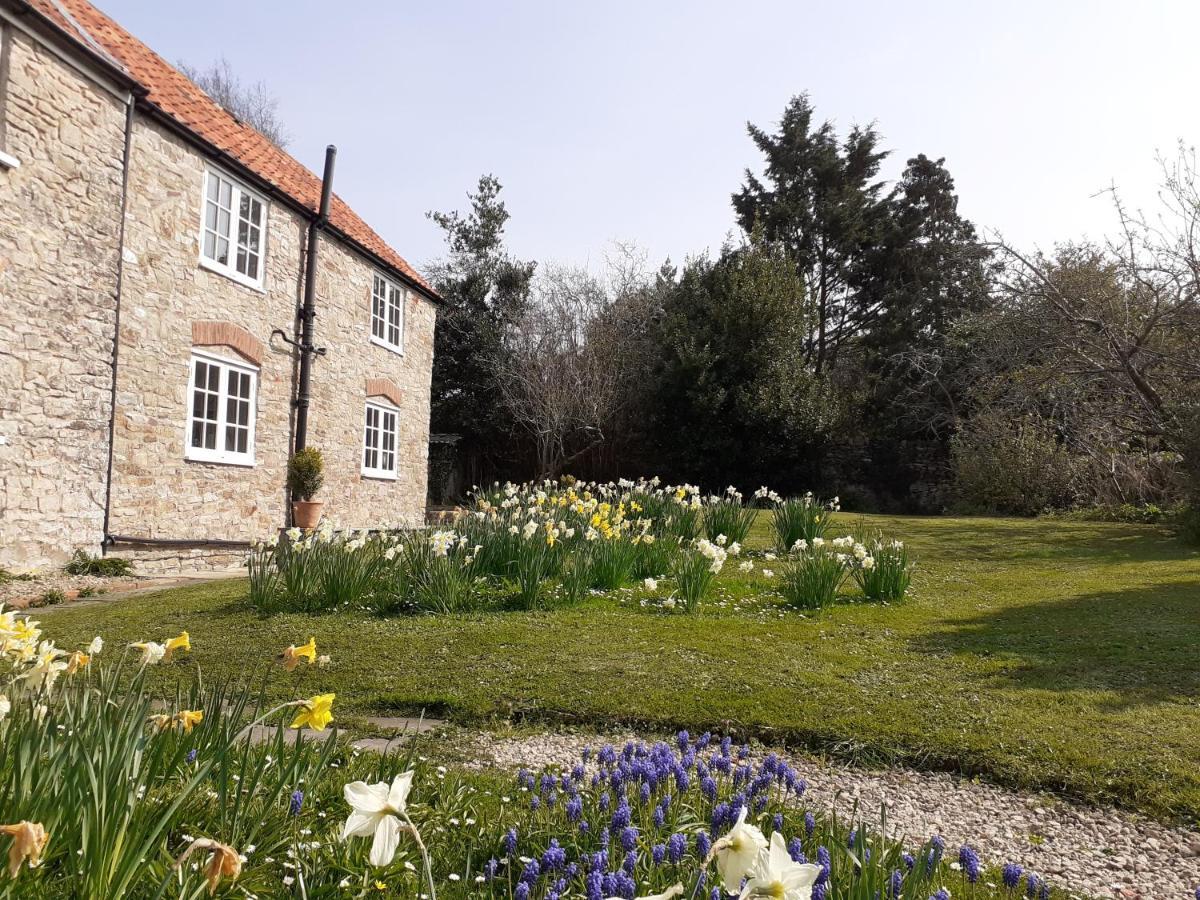 Characterful Cottage Adjacent To An Orchard Brockley Kültér fotó